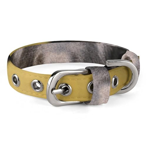 Hundehalsband, schwarzer Schäferhund, stilvolles Haustierzubehör, modisches Haustierhalsband, verstellbares Haustierhalsband, leichtes Haustierhalsband Hundehalsband, schwarzer Schäferhund, stilvolles Haustierzubehör, modisches Haustierhalsband, verstellbares Haustierhalsband, leichtes Haustierhalsband von YJWANDO