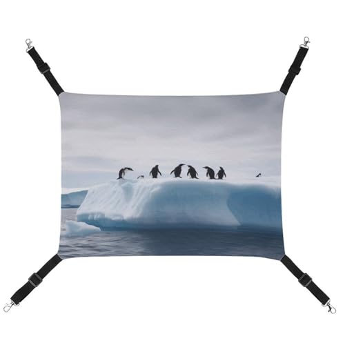 YJWANDO Haustier-Hängematte, Pinguine auf dem Eisberg Druck, bequeme Haustierhängematte, atmungsaktives Segeltuch, Haustierbett für Katzen und kleine Hunde, verstellbar und tragbar YJWANDO Haustier-Hängematte, Pinguine auf dem Eisberg Druck, bequeme Haustierhängematte, atmungsaktives Segeltuch, Haustierbett für Katzen und kleine Hunde, verstellbar und tragbar von YJWANDO