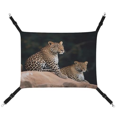 YJWANDO Haustier-Hängematte, afrikanischer Leopard auf Felsdruck, bequeme Haustierhängematte, atmungsaktives Segeltuch, Haustierbett für Katzen und kleine Hunde, verstellbar und tragbar YJWANDO Haustier-Hängematte, afrikanischer Leopard auf Felsdruck, bequeme Haustierhängematte, atmungsaktives Segeltuch, Haustierbett für Katzen und kleine Hunde, verstellbar und tragbar von YJWANDO