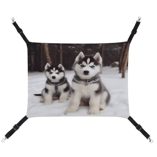 YJWANDO Haustier-Hängematte, entzückender Huskies-Druck, bequeme Haustier-Hängematte, atmungsaktives Segeltuch, Haustierbett für Katzen und kleine Hunde, verstellbar und tragbar YJWANDO Haustier-Hängematte, entzückender Huskies-Druck, bequeme Haustier-Hängematte, atmungsaktives Segeltuch, Haustierbett für Katzen und kleine Hunde, verstellbar und tragbar von YJWANDO