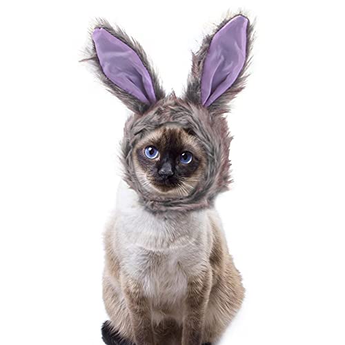 Haustier Kostüm Hut, Kaninchen Kopfbedeckung für Katzen, Hunde, Verstellbar Niedliche Cosplay Kostüm Requisten für Hunde Katzen Lustig Haustier Schmuck für Halloween Weihnachten Ostern Festival Party von YJZQ