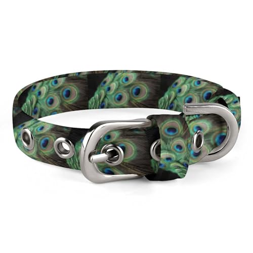 YKHESA Hundehalsband mit Pfauenfeder-Druck, verstellbar, weich, Hundehalsband, Hundehalsbänder für mittelgroße und kleine Hunde, mit Sicherheitsverriegelung, Haustierhalsband YKHESA Hundehalsband mit Pfauenfeder-Druck, verstellbar, weich, Hundehalsband, Hundehalsbänder für mittelgroße und kleine Hunde, mit Sicherheitsverriegelung, Haustierhalsband von YKHESA