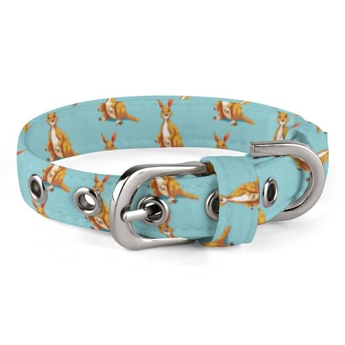 YKHESA Hundehalsband mit lustigem Cartoon-Känguru-Zoo-Druck, verstellbares weiches Hundehalsband, Hundehalsbänder für mittelgroße und kleine Hunde mit Sicherheitsverriegelung YKHESA Hundehalsband mit lustigem Cartoon-Känguru-Zoo-Druck, verstellbares weiches Hundehalsband, Hundehalsbänder für mittelgroße und kleine Hunde mit Sicherheitsverriegelung von YKHESA