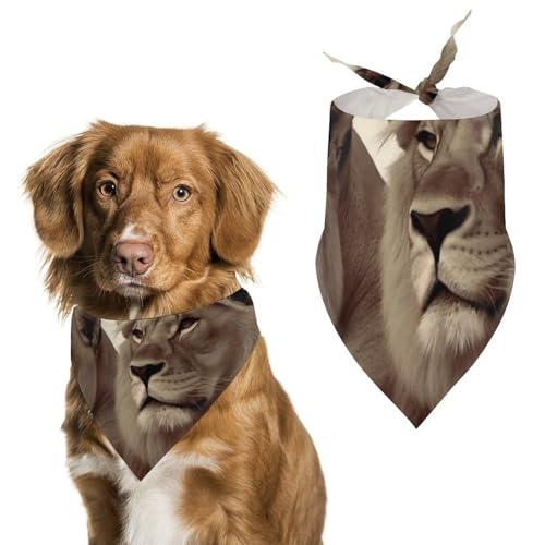 Bedruckter Haustier-Schal mit afrikanischer Löwe und Löwin, Polyester, Einheitsgröße (70,1 x 30 cm) von YKLBV