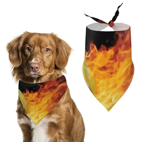 Bedruckter Haustier-Schal mit brennenden Tennisbildern, Polyester, Dreieckstuch – Einheitsgröße (70,1 x 30 cm) von YKLBV