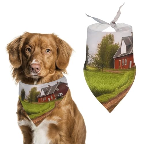 Country Road mit Bauernhof und Traktor, bedruckter Haustier-Schal, Polyester, Dreieckstuch – Einheitsgröße (70,1 x 30 cm) von YKLBV