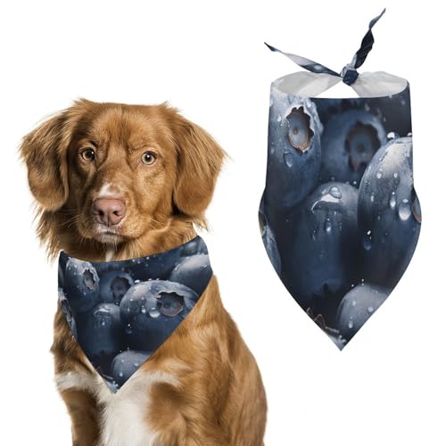 Delicious Blueberry bedruckter Haustier-Schal, Polyester, Dreieckstuch – Einheitsgröße (70,1 x 30 cm) von YKLBV