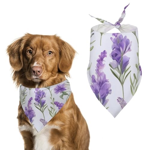 Dreieckstuch mit Lavendelblüten, Polyester, Einheitsgröße (70,1 x 30 cm) von YKLBV