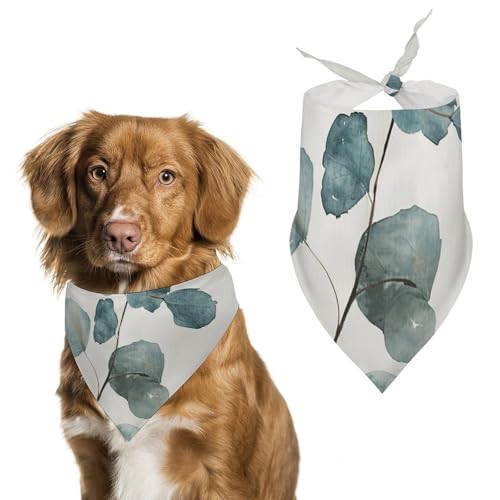 Haustier-Schal, Motiv: grüne Eukalyptusblätter, Polyester, Dreiecksschal, Einheitsgröße (70,1 x 30 cm) von YKLBV