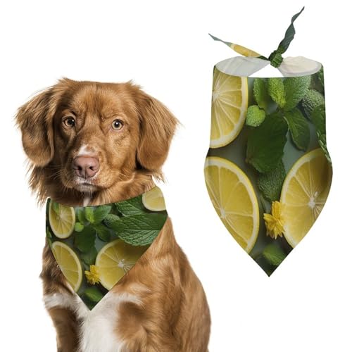 Haustier-Schal, bedruckt, Motiv: Minzblätter und Zitrone, Polyester, Dreieckstuch – Einheitsgröße (70,1 x 30 cm) von YKLBV