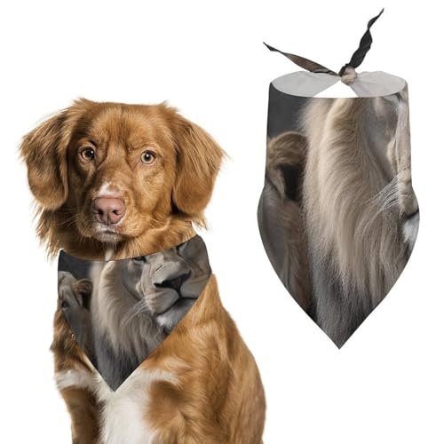 Haustier-Schal mit Löwen-Motiv, bedruckt, Polyester, Dreieckstuch – Einheitsgröße (70,1 x 30 cm) von YKLBV