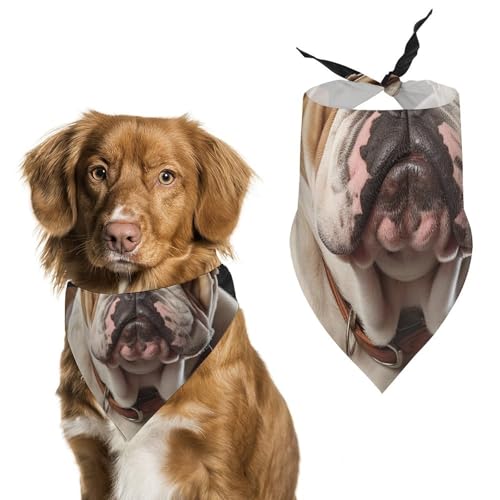 Haustier-Schal mit englischer Bulldogge, bedruckt, Polyester, Dreieckstuch – Einheitsgröße (70,1 x 30 cm) von YKLBV