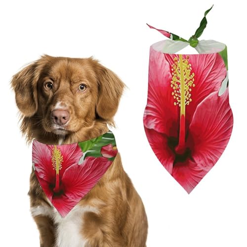 Hibiskusblumen-bedruckter Haustier-Schal, Polyester, Dreieckstuch – Einheitsgröße (70,1 x 30 cm) von YKLBV