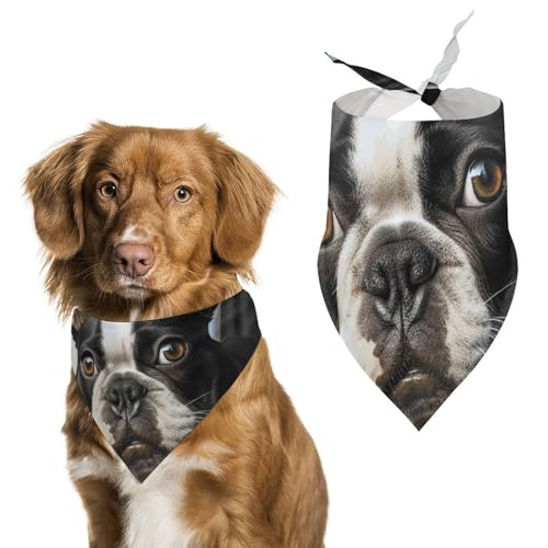 Hunde-Schal mit Boston-Terrier-Motiv, bedruckt, Polyester, Dreieckstuch – Einheitsgröße (70,1 x 30 cm) von YKLBV