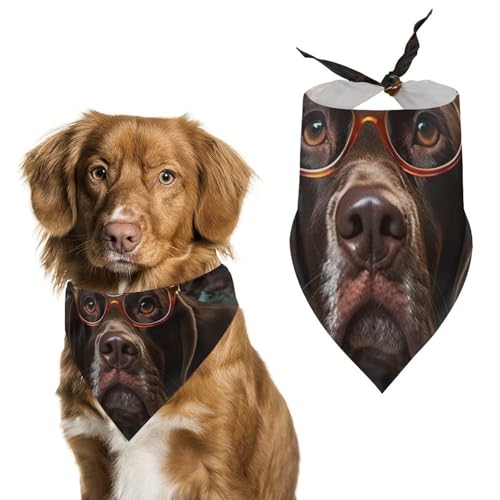 Kurzhaar-Schal mit Brille, bedruckt, Polyester, Dreieckstuch – Einheitsgröße (70,1 x 30 cm) von YKLBV