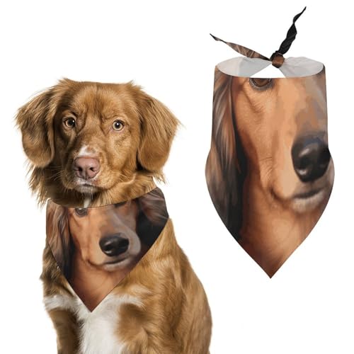 Langhaariger Dackel-bedruckter Haustier-Schal, Polyester, Dreieckstuch – Einheitsgröße (70,1 x 30 cm) von YKLBV