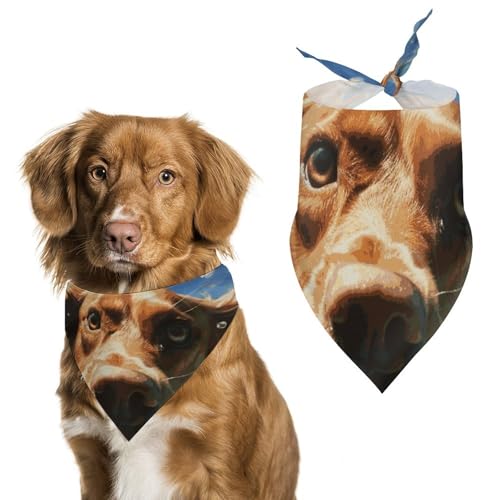 Lustiger Hundeschal mit Hundemotiv, bedruckt, Polyester, Dreieckstuch – Einheitsgröße (70,1 x 30 cm) von YKLBV