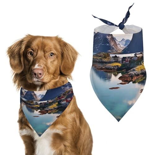 Norwegen Islands bedruckter Haustier-Schal, Polyester, Dreieckstuch – Einheitsgröße (70,1 x 30 cm) von YKLBV