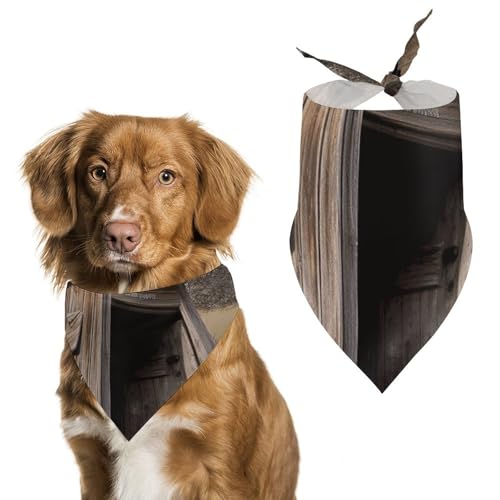 Old Ancient Outhouse bedruckter Haustier-Schal, Polyester, Dreieckstuch – Einheitsgröße (70,1 x 30 cm) von YKLBV