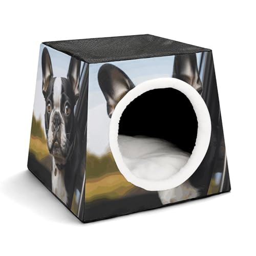 Weltraumkapsel Haustierhaus – Oxford-Gewebe Haustierhaus für Katzen, Hunde, Meerschweinchen und kleine Haustiere, Familie und Reisen, 35,1 x 35,1 x 30 cm Weltraumkapsel Haustierhaus – Oxford-Gewebe Haustierhaus für Katzen, Hunde, Meerschweinchen und kleine Haustiere, Familie und Reisen, 35,1 x 35,1 x 30 cm von YKLBV