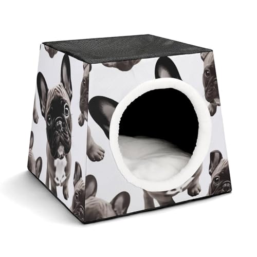 Weltraumkapsel Haustierhaus – Oxford-Gewebe Haustierhaus für Katzen, Hunde, Meerschweinchen und kleine Haustiere, Familie und Reisen, 35,1 x 35,1 x 30 cm Weltraumkapsel Haustierhaus – Oxford-Gewebe Haustierhaus für Katzen, Hunde, Meerschweinchen und kleine Haustiere, Familie und Reisen, 35,1 x 35,1 x 30 cm von YKLBV