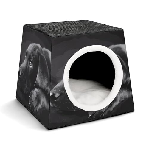 Weltraumkapsel Haustierhaus – Oxford-Gewebe Haustierhaus für Katzen, Hunde, Meerschweinchen und kleine Haustiere, Familie und Reisen, 35,1 x 35,1 x 30 cm von YKLBV