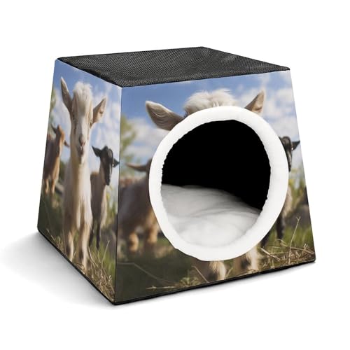 Weltraumkapsel Haustierhaus – Oxford-Gewebe Haustierhaus für Katzen, Hunde, Meerschweinchen und kleine Haustiere, Familie und Reisen, 35,1 x 35,1 x 30 cm Weltraumkapsel Haustierhaus – Oxford-Gewebe Haustierhaus für Katzen, Hunde, Meerschweinchen und kleine Haustiere, Familie und Reisen, 35,1 x 35,1 x 30 cm von YKLBV