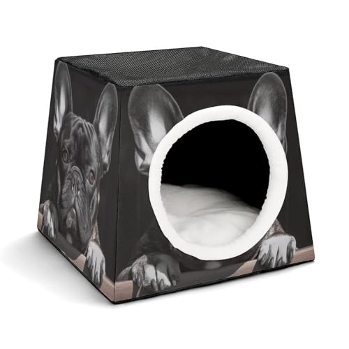Weltraumkapsel Haustierhaus – Oxford-Gewebe Haustierhaus für Katzen, Hunde, Meerschweinchen und kleine Haustiere, Familie und Reisen, 35,1 x 35,1 x 30 cm Weltraumkapsel Haustierhaus – Oxford-Gewebe Haustierhaus für Katzen, Hunde, Meerschweinchen und kleine Haustiere, Familie und Reisen, 35,1 x 35,1 x 30 cm von YKLBV