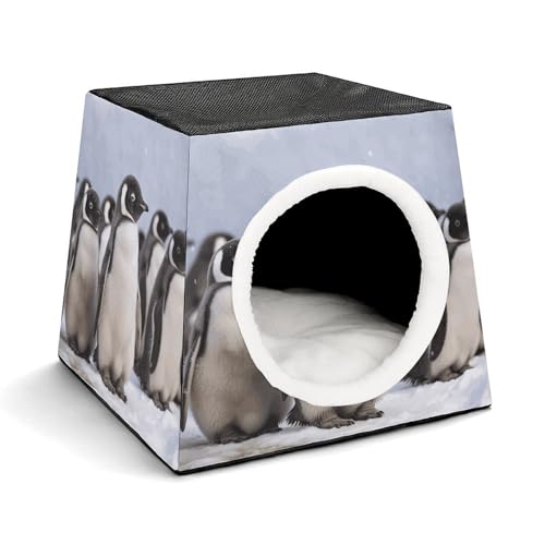 Weltraumkapsel Haustierhaus – Oxford-Gewebe Haustierhaus für Katzen, Hunde, Meerschweinchen und kleine Haustiere, Familie und Reisen, 35,1 x 35,1 x 30 cm Weltraumkapsel Haustierhaus – Oxford-Gewebe Haustierhaus für Katzen, Hunde, Meerschweinchen und kleine Haustiere, Familie und Reisen, 35,1 x 35,1 x 30 cm von YKLBV