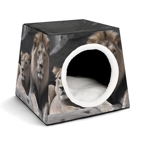 Weltraumkapsel Haustierhaus – Oxford-Gewebe Haustierhaus für Katzen, Hunde, Meerschweinchen und kleine Haustiere, Familie und Reisen, 35,1 x 35,1 x 30 cm Weltraumkapsel Haustierhaus – Oxford-Gewebe Haustierhaus für Katzen, Hunde, Meerschweinchen und kleine Haustiere, Familie und Reisen, 35,1 x 35,1 x 30 cm von YKLBV
