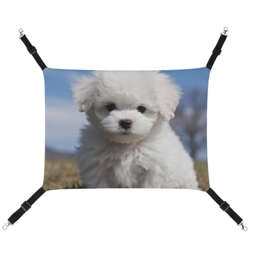 YKLBV Atmungsaktive Bichon Frisé-Hunde-Hängematte – platzsparende Lösung für Katzen, Hunde und kleine Haustiere – überall Komfort YKLBV Atmungsaktive Bichon Frisé-Hunde-Hängematte – platzsparende Lösung für Katzen, Hunde und kleine Haustiere – überall Komfort von YKLBV