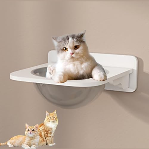 Katzenwandmöbel, Katzenregale, Katzennest, Sprungplattform, Raumkapsel Autonomes Matching(S2) von YKMYXZ