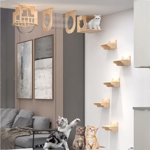 Katzenwandregale, Möbelset, Kletterregal-Spielplatz, Luftkorridor, Katzennest, Raumkapsel, Sprungplattform DIY(Style 4) von YKMYXZ