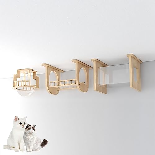 Massivholz-Katzen-Wandregal-Set, Katzenregale und Sitzstangen for Wände, Space Capsule Cat Villa Air Corridor Tunnel Jumping Platform(Ceiling Combination 4) von YKMYXZ