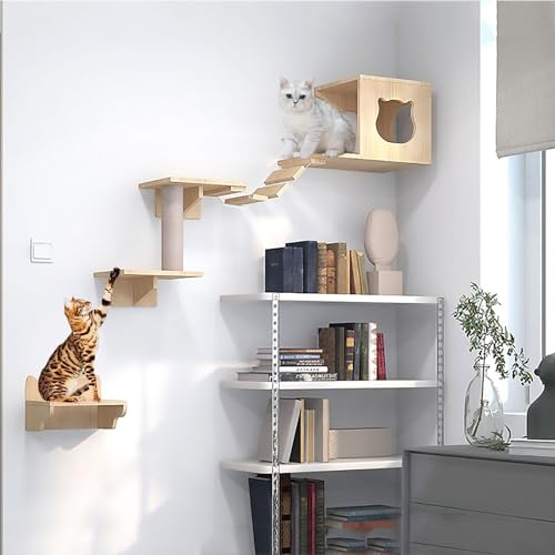 Wandmontierte Katzenwandregale, Katzenklettergerüst, Decken- und Wandkombinationsset, platzsparend, selbst zu Bauen und einfach zu montieren(Style1) von YKMYXZ
