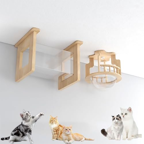 Wandmontierte Katzenwandregale, Katzenklettergerüst, Decken- und Wandkombinationsset, platzsparend, selbst zu Bauen und einfach zu montieren(Style8) von YKMYXZ