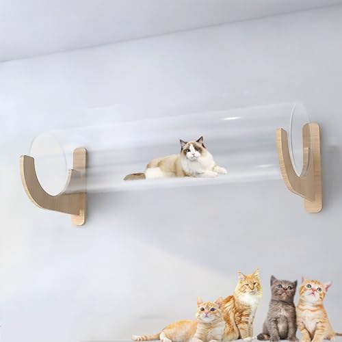 Wandmontierter Katzenkletterrahmen aus Massivholz for den Innenbereich, freie Kombination aus Lufthängebrücke und Sprungplattform(S15) von YKMYXZ