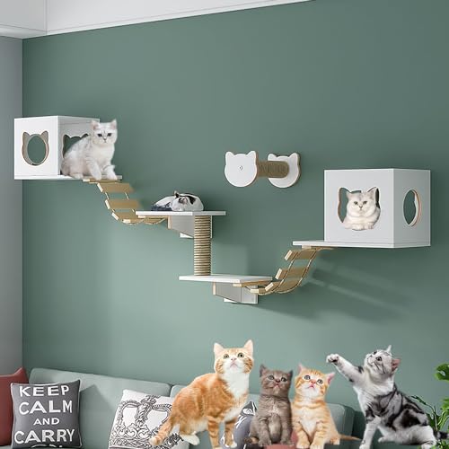 Wandmontiertes Katzenklettergerüst, stilvolles Katzenkletterwand-Set, vielseitige Katzenwandregale, platzsparend, einfache Installation(Style2) von YKMYXZ
