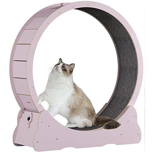 YKMYXZ, Cat Fitness Gewichtsverlust-Sportspielzeug, geräuscharmes Katzenlaufband mit Sicherheitsverriegelung, zur Linderung von Bewegungsmangel bei Hauskatzen(Pink,M) von YKMYXZ