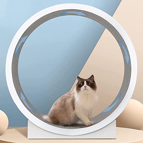 YKMYXZ, Gerät zur Gewichtsabnahme bei Katzen Katzenlaufrad Katzenriesenrad for alle Katzen Drehen, Kratzen, Klettern von YKMYXZ