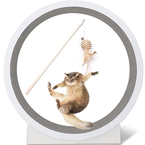 YKMYXZ, Große mittelgroße kleine Katzen Laufräder, Katzenlaufhilfe/Katzenlaufen/Katzen verlieren Gewicht Gerät, Katzen Läufer Rad von YKMYXZ