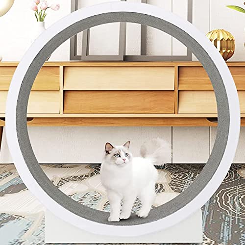 YKMYXZ, Katzenlaufrad for Hauskatzen, Katzenklettergerüst, Katzenbedarf, Katzenspielzeug, Katzenklettergerüst, geräuschloses Katzenlaufrad YKMYXZ, Katzenlaufrad for Hauskatzen, Katzenklettergerüst, Katzenbedarf, Katzenspielzeug, Katzenklettergerüst, geräuschloses Katzenlaufrad von YKMYXZ