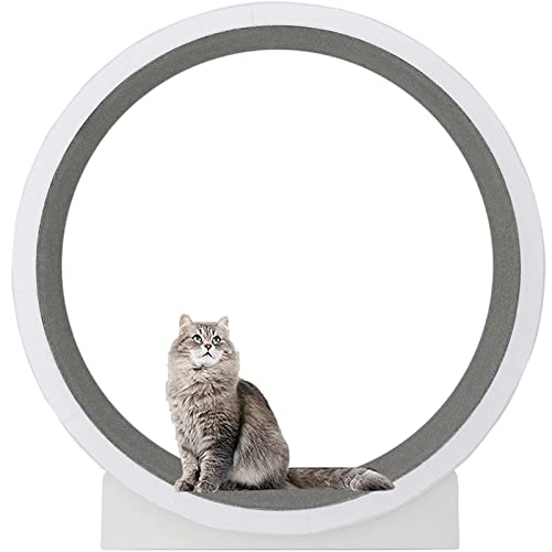 YKMYXZ, Katzenlaufrad for Hauskatzen, großes Katzenlaufrad, Katzenlaufrad mit Teppichlaufbahn YKMYXZ, Katzenlaufrad for Hauskatzen, großes Katzenlaufrad, Katzenlaufrad mit Teppichlaufbahn von YKMYXZ