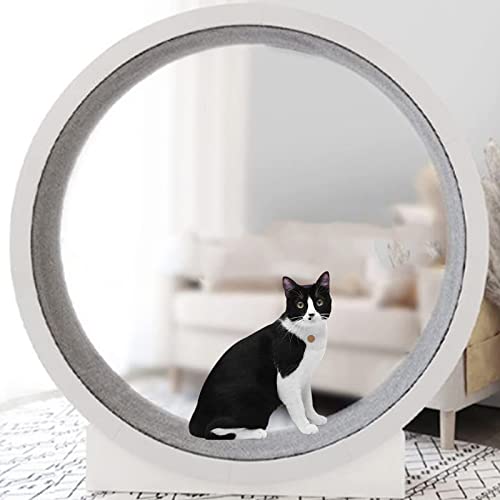 YKMYXZ, Katzenspielzeug for den Innenbereich, Kätzchenspielzeug, Katzenlaufrad, Klettergerüst for Katzen, Katzen-Riesenrad, reibungsloser Lauf, geräuscharm YKMYXZ, Katzenspielzeug for den Innenbereich, Kätzchenspielzeug, Katzenlaufrad, Klettergerüst for Katzen, Katzen-Riesenrad, reibungsloser Lauf, geräuscharm von YKMYXZ