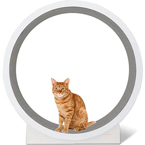 YKMYXZ, Laufband-Riesenrad, Haustiermöbel, Katzenkratzbrett, Lauf- und Drehspielzeug for kleine/mittelgroße Haustiere, Indoor-Übungen YKMYXZ, Laufband-Riesenrad, Haustiermöbel, Katzenkratzbrett, Lauf- und Drehspielzeug for kleine/mittelgroße Haustiere, Indoor-Übungen von YKMYXZ