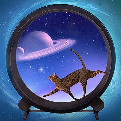 YKMYXZ, Leises Klettergerüst for Katzen, Laufsteg-Patch, Rotations-Fitnessspielzeug for Haustiere, Laufrad for Katzen YKMYXZ, Leises Klettergerüst for Katzen, Laufsteg-Patch, Rotations-Fitnessspielzeug for Haustiere, Laufrad for Katzen von YKMYXZ