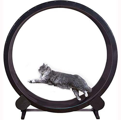 YKMYXZ, Luxuriöses Katzenklettergerüst, Katzensportspielzeug, sichere und leise große Rolle, geeignet for mittelgroße und große Haustiere, die drinnen spazieren gehen YKMYXZ, Luxuriöses Katzenklettergerüst, Katzensportspielzeug, sichere und leise große Rolle, geeignet for mittelgroße und große Haustiere, die drinnen spazieren gehen von YKMYXZ