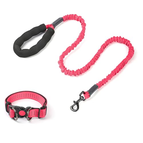 Robuste Hundeleine Und Halsband Aus Seil Langlebige Geflochtene Hundehalsbänder Und Leinen Polyesterseilleinen Mit Robusten Clips Schlupfleine Mit Metallkette Für Kleine Mittelgroße-Rot Robuste Hundeleine Und Halsband Aus Seil Langlebige Geflochtene Hundehalsbänder Und Leinen Polyesterseilleinen Mit Robusten Clips Schlupfleine Mit Metallkette Für Kleine Mittelgroße-Rot von YKSEND