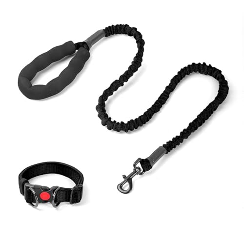 Robuste Hundeleine Und Halsband Aus Seil Langlebige Geflochtene Hundehalsbänder Und Leinen Polyesterseilleinen Mit Robusten Clips Schlupfleine Mit Metallkette Für Kleine Mittelgroße-Schwarz Robuste Hundeleine Und Halsband Aus Seil Langlebige Geflochtene Hundehalsbänder Und Leinen Polyesterseilleinen Mit Robusten Clips Schlupfleine Mit Metallkette Für Kleine Mittelgroße-Schwarz von YKSEND