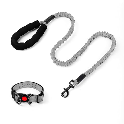 Robuste Hundeleine Und Halsband Aus Seil Langlebige Geflochtene Hundehalsbänder Und Leinen Polyesterseilleinen Mit Robusten Clips Schlupfleine Mit Metallkette Für Kleine Mittelgroße-grau Robuste Hundeleine Und Halsband Aus Seil Langlebige Geflochtene Hundehalsbänder Und Leinen Polyesterseilleinen Mit Robusten Clips Schlupfleine Mit Metallkette Für Kleine Mittelgroße-grau von YKSEND